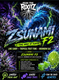 ZSUNAMI F2