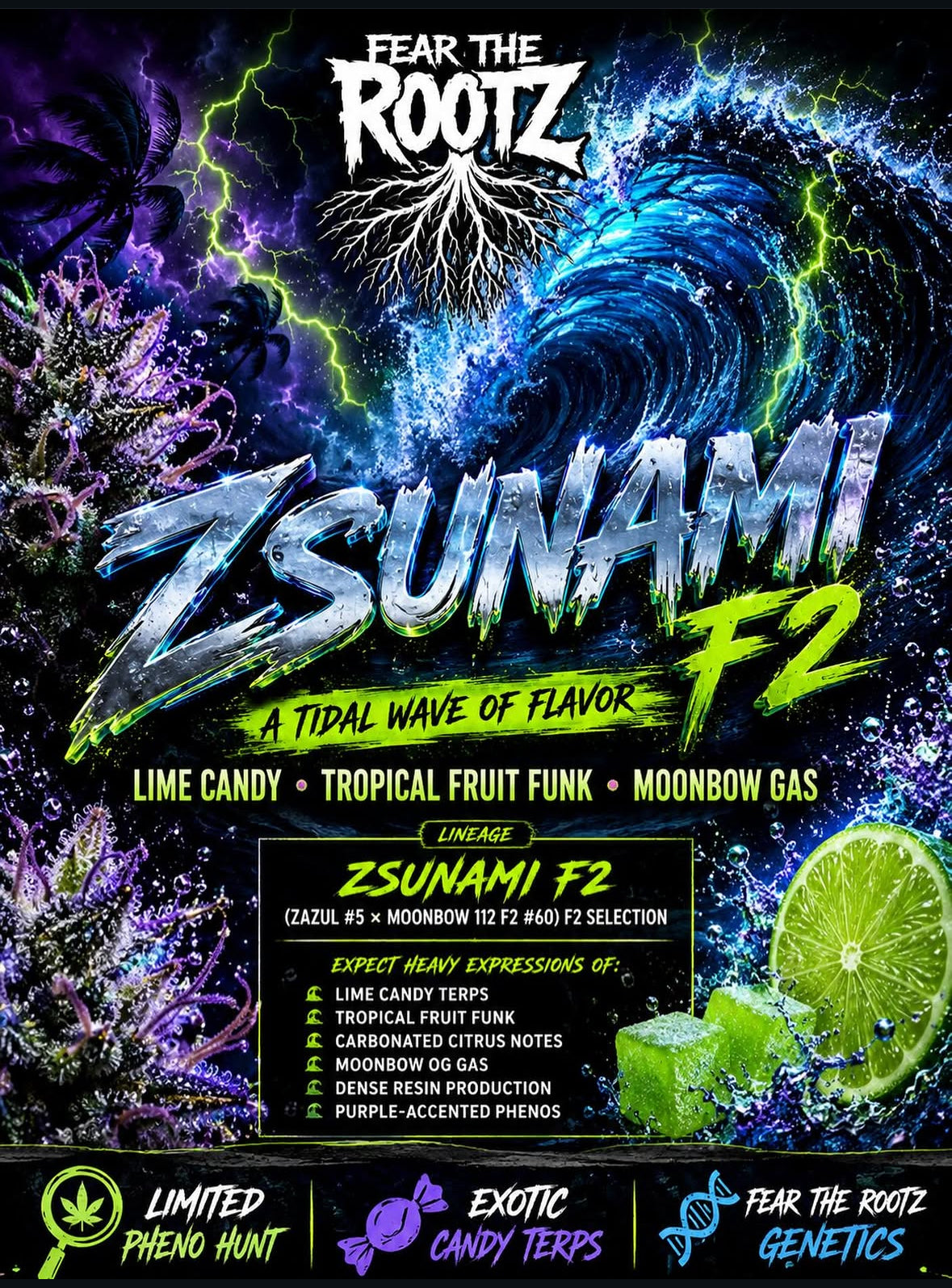ZSUNAMI F2