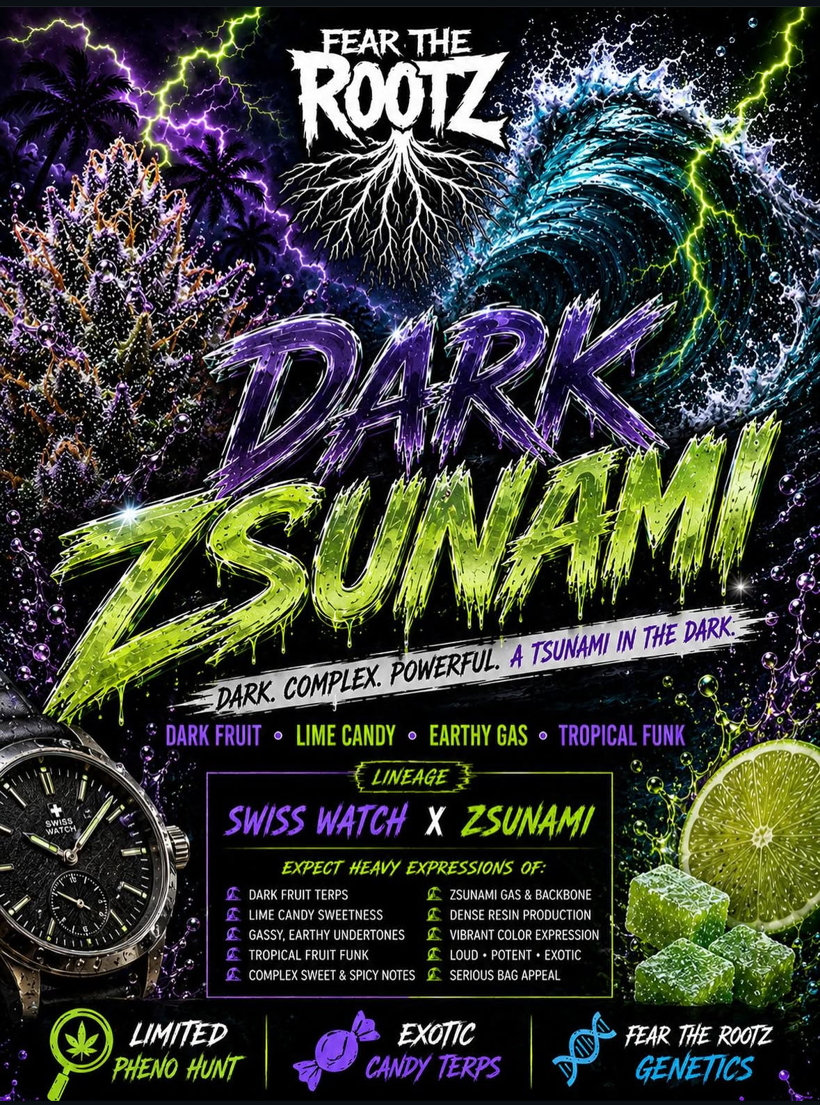 DARK ZSUNAMI